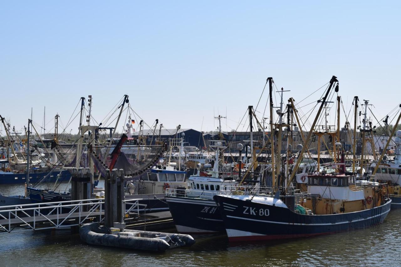 "Het Steechje" In Ie Bij Schiermonnikoog En Ameland Apartman Ee Kültér fotó