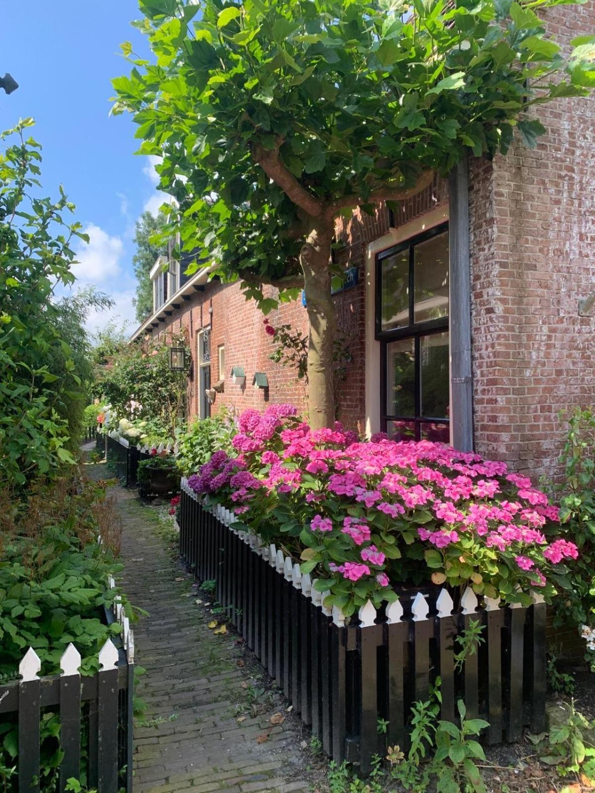 "Het Steechje" In Ie Bij Schiermonnikoog En Ameland Apartman Ee Kültér fotó