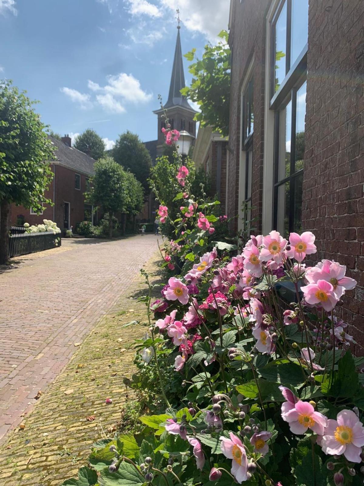 "Het Steechje" In Ie Bij Schiermonnikoog En Ameland Apartman Ee Kültér fotó